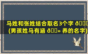 马姓和张姓结合取名3个字 🐞 (男孩姓马有涵 🌻 养的名字)
